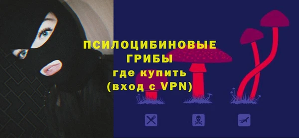 спиды Алексин