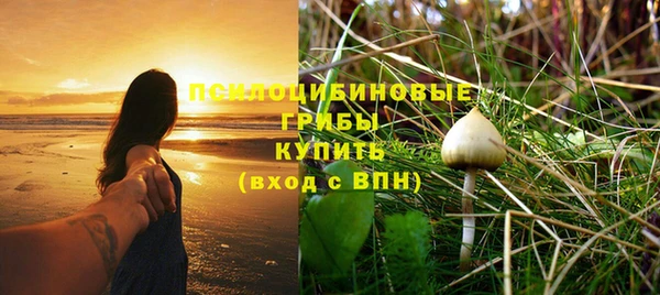 таблы Алзамай