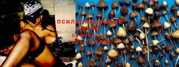 таблы Алзамай