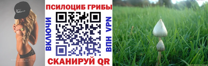 Псилоцибиновые грибы мухоморы  Кола 